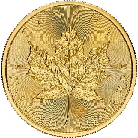 Maple Leaf (2025) - 1 oz - Goldanlagemünze