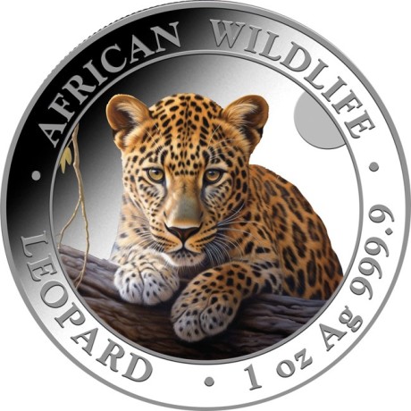 Leopard 2025 - 1 oz - Silber Sammlermünze
