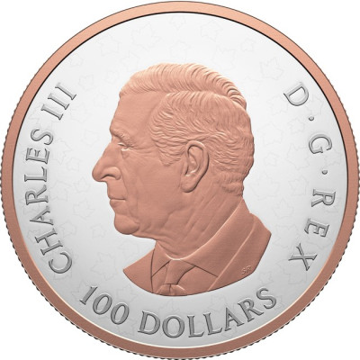 Glänzende Ahornblätter - 10 oz - Silber Sammlermünze (Lieferung 30.6.2025)