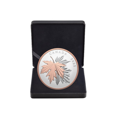 Glänzende Ahornblätter - 10 oz - Silber Sammlermünze (Lieferung 30.6.2025)
