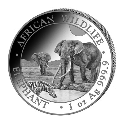 Afrikanischer Elefant (2026) - 1 oz - Silberanlagemünze