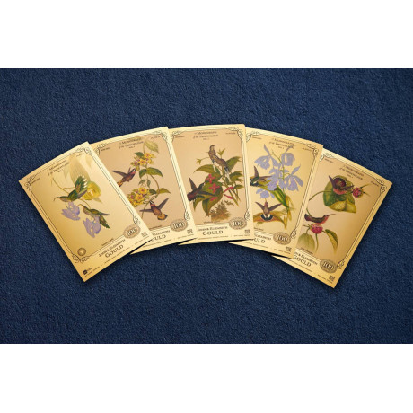 Die Sammlung John und Elizabeth Gould - Kolibris