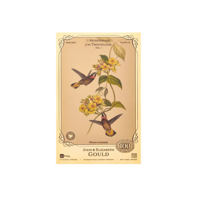 Die Sammlung John und Elizabeth Gould - Kolibris