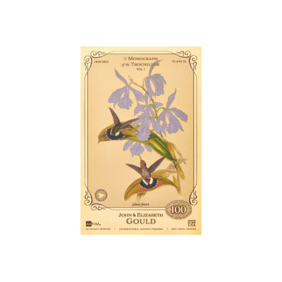 Die Sammlung John und Elizabeth Gould - Kolibris