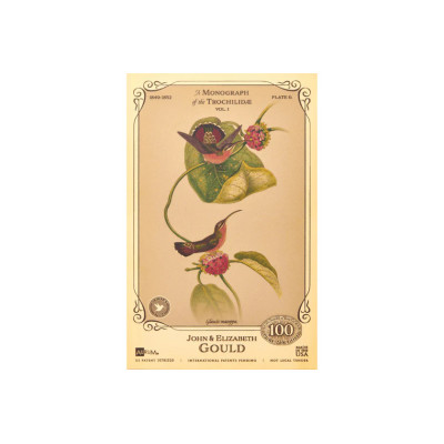 Die Sammlung John und Elizabeth Gould - Kolibris