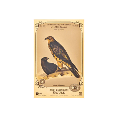 Die John und Elizabeth Gould Aurum - H.M.S. Beagle Sammlung