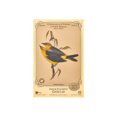 Die John und Elizabeth Gould Aurum - H.M.S. Beagle Sammlung