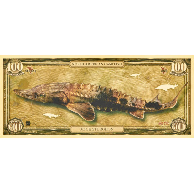 Rock Störe - 24k Gold Bill - Serie I